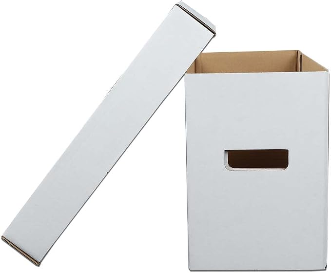 ANDPLAY 10 Pcs Comic Books Storage Boxes With Lids Short Holds 150-175 Stackable Durable Archive White Comic Book Storage - Image 9