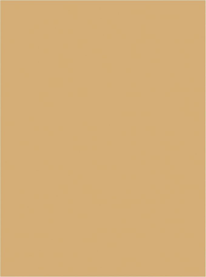 Tru-Ray Construction Paper 9x12 Almond - Image 2