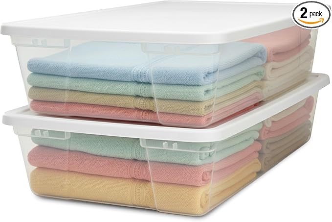 HOMZ 2-Pack Snaplock, Large Clear Plastic Storage Organizer Bins w/Lids, 41 Quart, White - Stackable Container Boxes for Bedroom, Bathroom, Garage, and Office Organization by Homz
