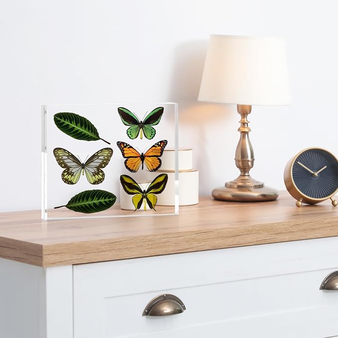 8x10 Acrylic Frame 6 Pack,20MM Thicker Frameless Clear Picture Frames | Freestanding Double Sided Magnetic Picture Frame,Acrylic Picture Frames for Desktop Display with Microfiber Cloth,Gift Ideal - Image 7