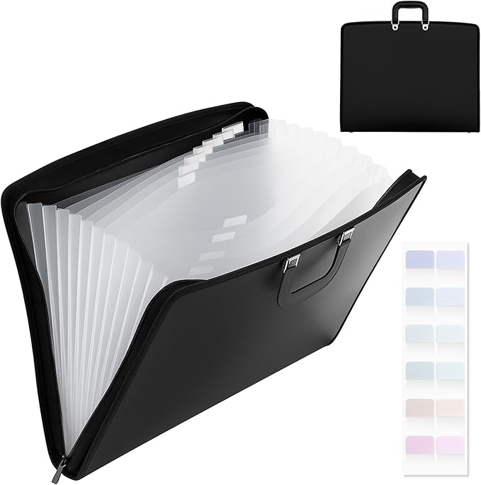 Dunzoom 1 Pack 11 x 17 Art Portfolios, Expanding File Organizer with 13 Pocket for Artwork, Plastic Clear Portfolio Holder Document Binder with Handle, Zipper and 120 Pcs Sticky Labels (Black) by Dunzoom