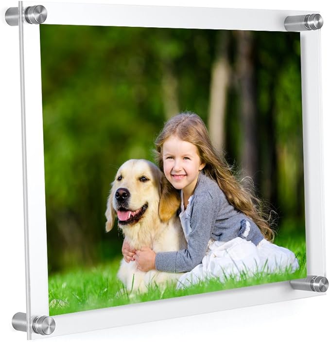 Meetu Acrylic Picture Frames 8.5x11 -Inner 8x10 Photo Frames (2 Pack)- Wall Frames To Display Family Pictures, Baby Pictures, Documents, Arts, Dog Pictures -Make Clear Float 3D Look by Meetu