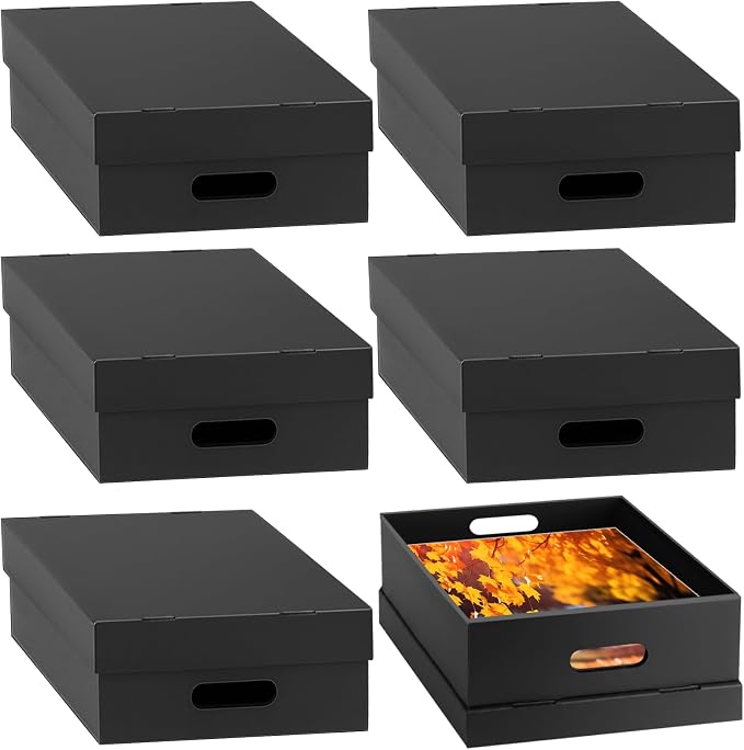AOBOPLE 6 Pack Photo Storage Box,9" x 12" x 4" Archival Storage Box with Lids,Protective Storage Box for Photo,Pictures,9x12 Documents, Keepsakes and Jewelry Home and Office Organizer by AOBOPLE