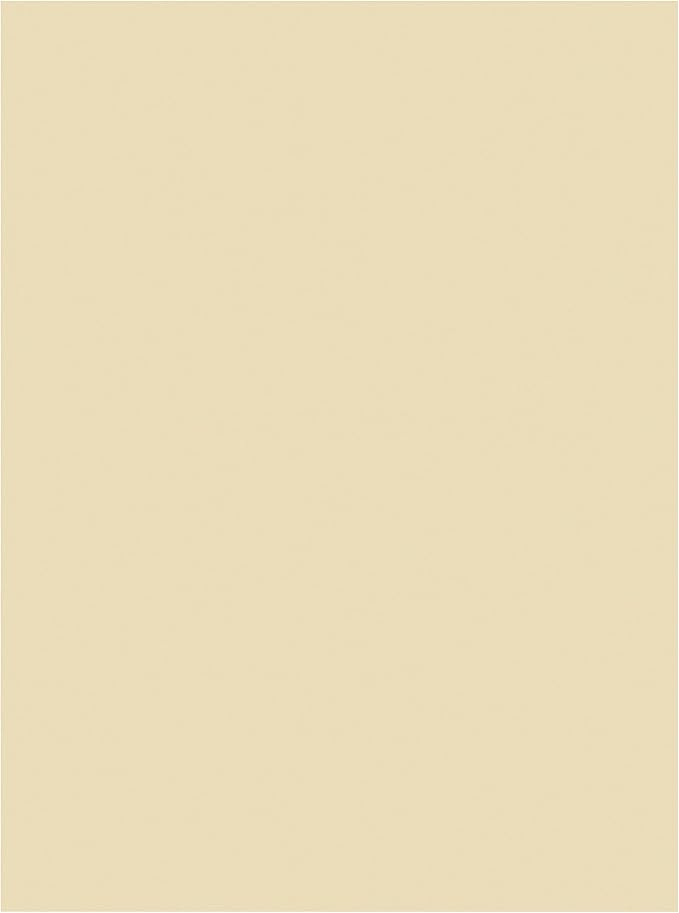 Tru-Ray Construction Paper 9x12 Ivory - Image 2