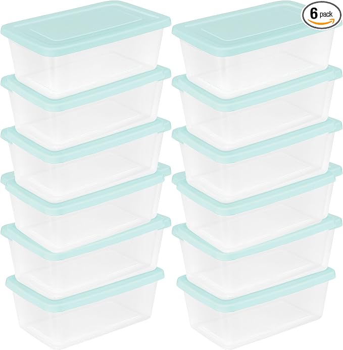 Sterilite 30 Pack Stackable Storage Bin with Lid, Clear Plastic Design, 6 Quart by Sterilite