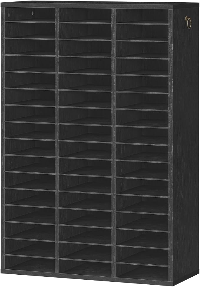 HOOBRO Literature Organizer, 48 Compartments Wooden Mail Organizer, Countertop Literature Sorter with Adjustable Shelves for Home, Office, School, Student Mailbox for Classroom, Black BK163WF01 by HOOBRO