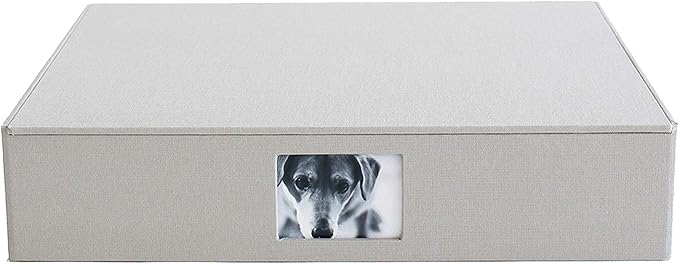 Kolo Havana Archival Photo Storage Box, Large, Platinum by KOLO