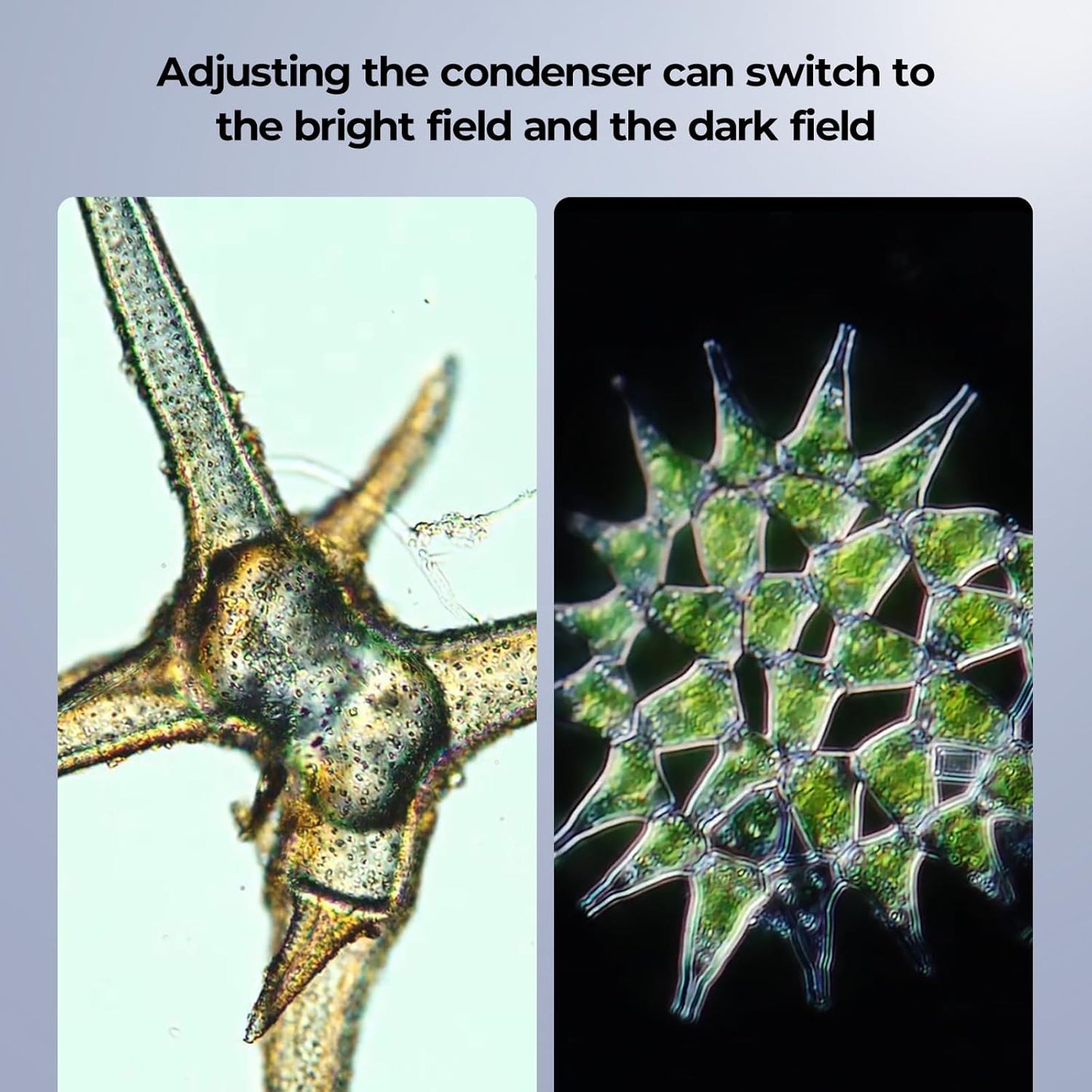 [Darkfield Microorganism Model] Vabiooth Lab Darkfield & Brightfield Trinocular Compound Microscope 40X-2500X Magnification with 7" Monitor 5MP E-Eyepiece, Adjustable Mechanical Stage, LED Source