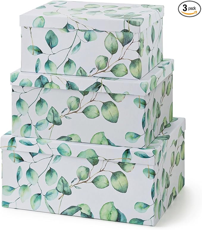 Soul & Lane - Eucalyptus Decorative Storage Boxes with Lids, Set of 3 | Large Nesting Cardboard Keepsake Boxes for Memories, Photos and Gifts, Pretty Leaves Print Containers for Home Decor by SoulLane
