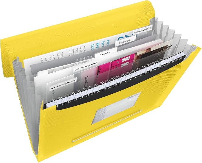 Esselte A4 Expanding Project File, Integrated Index with 6 Expanding Compartments, Elastic Closure, Flexible Plastic, Yellow, VIVIDA Range, 624020 by Unknown