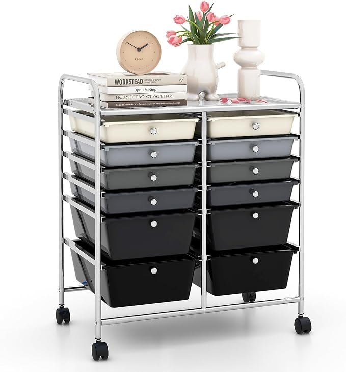 12 Drawer Rolling Storage Cart, Craft Cart Organizer on Wheels w/Metal Frame, Large Capacity & Smooth Drawer, Rolling Cart w/Drawers for Classroom, Office by LDAILY
