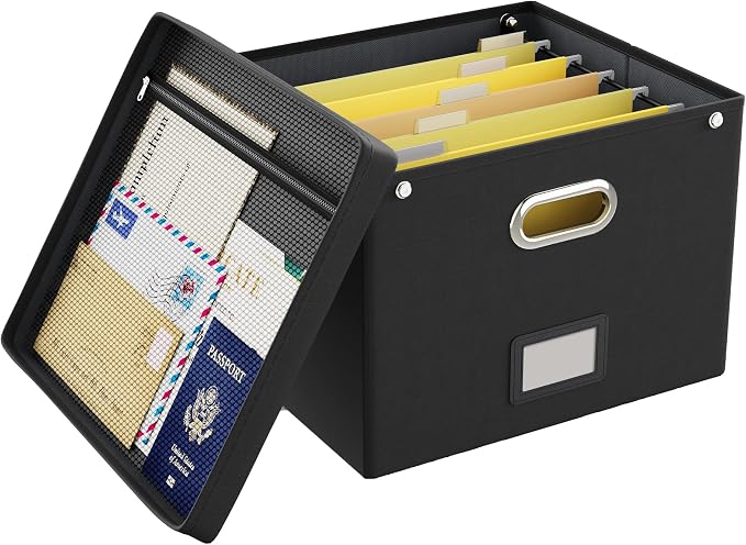 File Organizer Box with Lid,Large Hanging Filing Box with Mesh Pocket, Document c for Letter Files, Portable Storage Case with Smooth Sliding Rail for Office&Home (1 PCS, Black) by Oterri