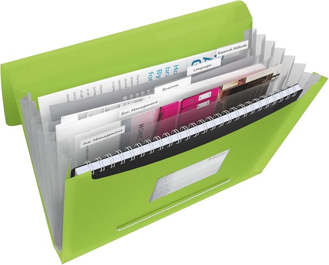 Esselte A4 Expanding Project File, Integrated Index with 6 Expanding Compartments, Elastic Closure, Flexible Plastic, Green, VIVIDA Range, 624019 by Unknown