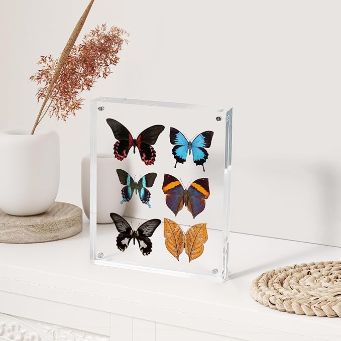 SYNTRIFIC 8x10 Acrylic Frames 6 Pack 20mm Thicker Freestanding Lucite Frame | Clear Lucite Frames, Stand on Desk, Horizontal and Vertical, Frameless, Floating Effect Photo Display - Image 7