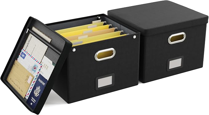 2 Pack File Organizer Box with Lid, Large Hanging Filing Box with Mesh Pocket, Document Organizer for Letter Files, Portable Storage Case for Office&Home (Black) by Oterri