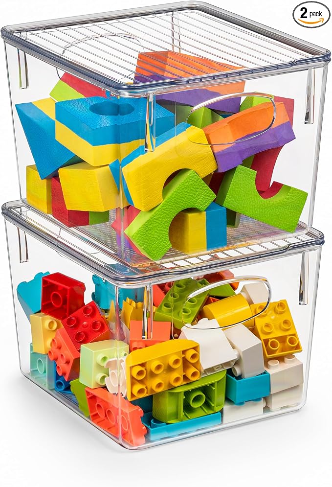 Sorbus Small Storage Containers with Lids - Small Plastic Storage Bins - Toy Organizers and Storage Bin - Clear Containers for Organizing (2 Pack), Medium by Sorbus