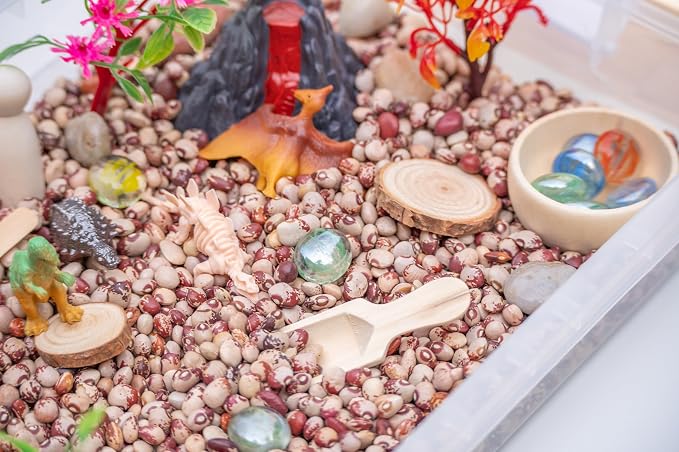 Dinosaur Sensory Bin Kit for Kids | Taste-Safe Pinto Beans, Fossil Skeletons, Trees, Volcano & Durable Wooden Tools – Includes Storage Bin - Image 4