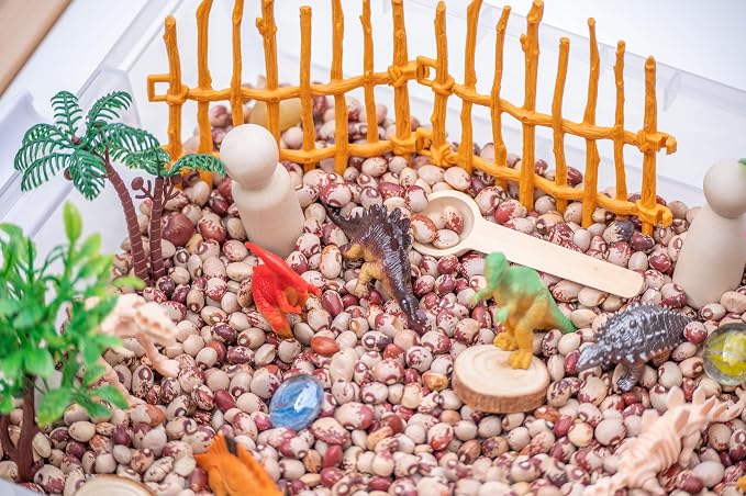 Dinosaur Sensory Bin Kit for Kids | Taste-Safe Pinto Beans, Fossil Skeletons, Trees, Volcano & Durable Wooden Tools – Includes Storage Bin - Image 7