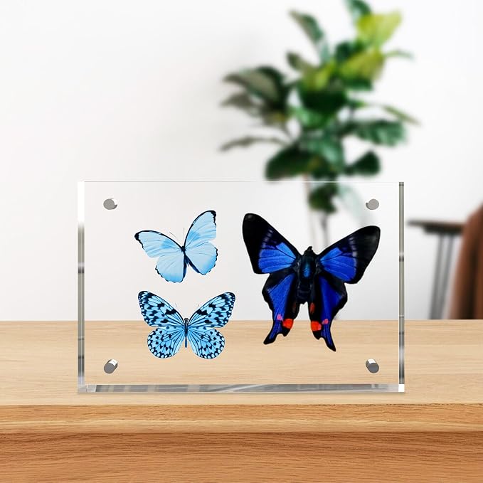 5x7 Inch Acrylic Picture Frame 3 Pack, 10+10mm Magnetic Photo Frame | High-clarity Acrylic, for 5x7 Pictures, Anti-fade, Frameless Floating, Double Display, Liquids Corrosion Resistant, 3 Pack - Image 4